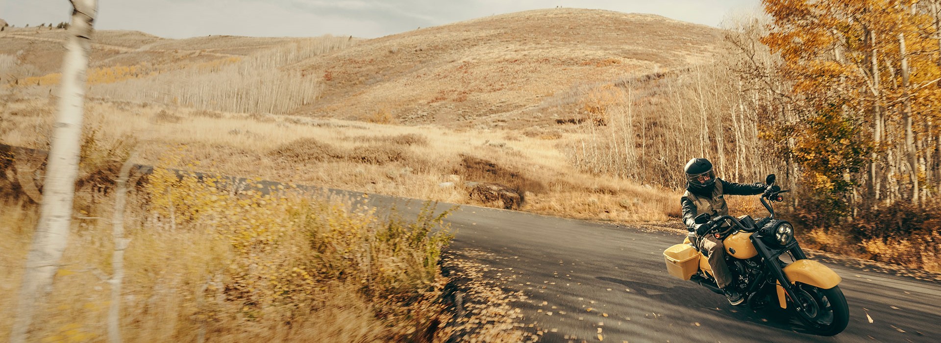 2023 Road King Special