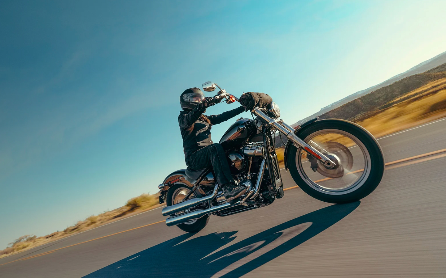 Rider cruising down the road on a 2024 Harley-Davidson Softail Standard.