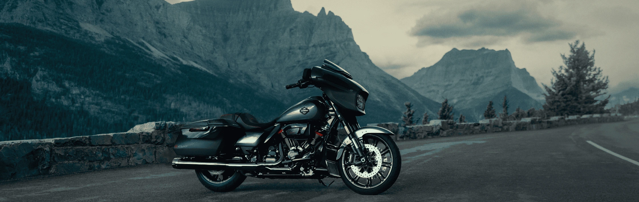 2025 Harley-Davidson model for sale