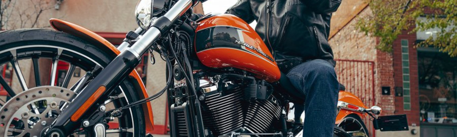 2023 Harley-Davidson® Motorcycle for sale in Georgian Bay Harley-Davidson®, Owen Sound, Ontario